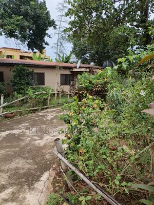 1 Plot of Land for Sale at Tesano
