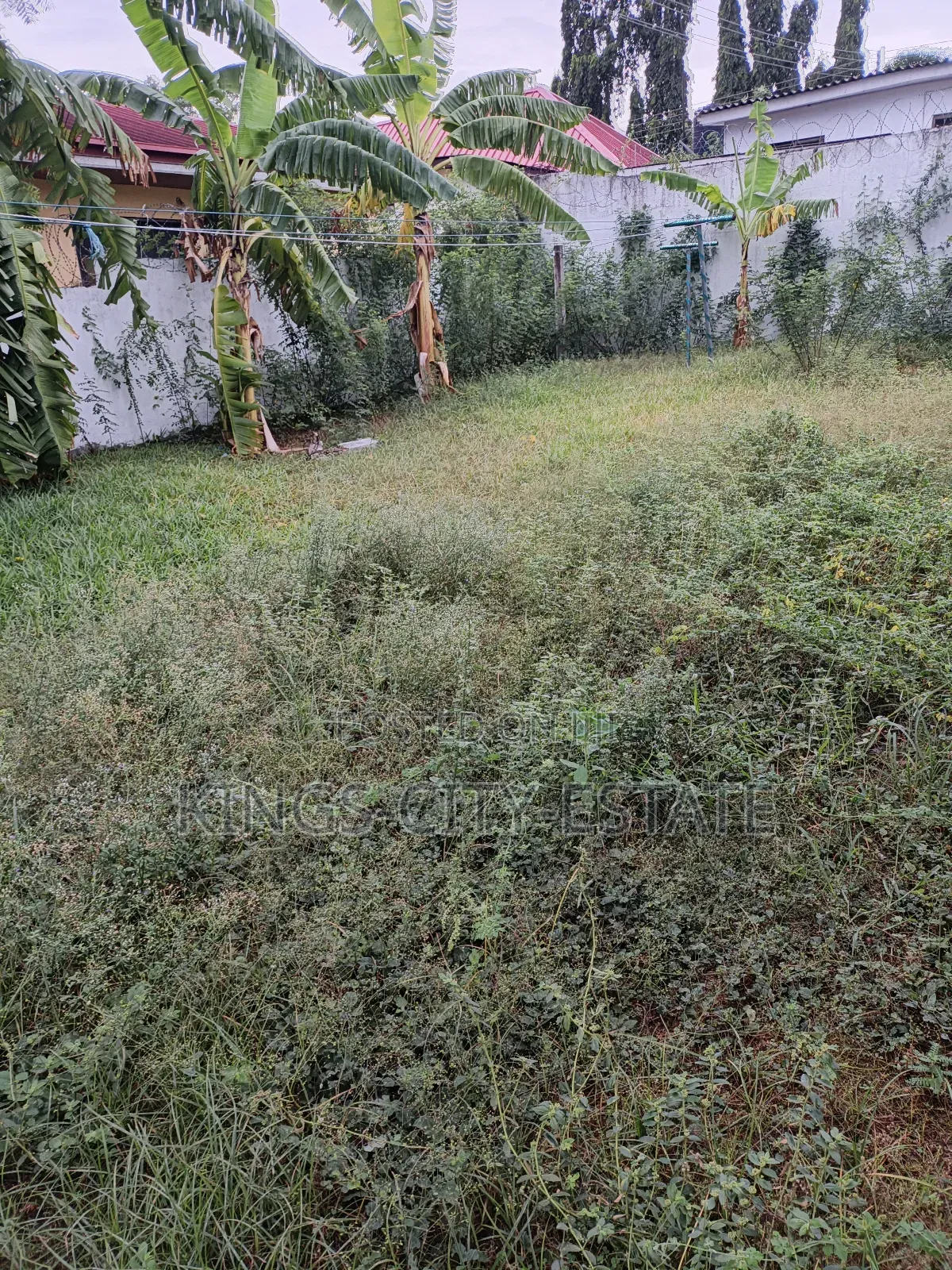1 Plot of Land for Sale at Tesano