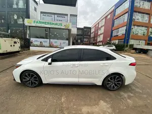 Car For Rent