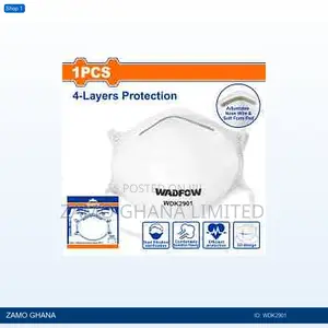 Dust Mask - Wdk2901