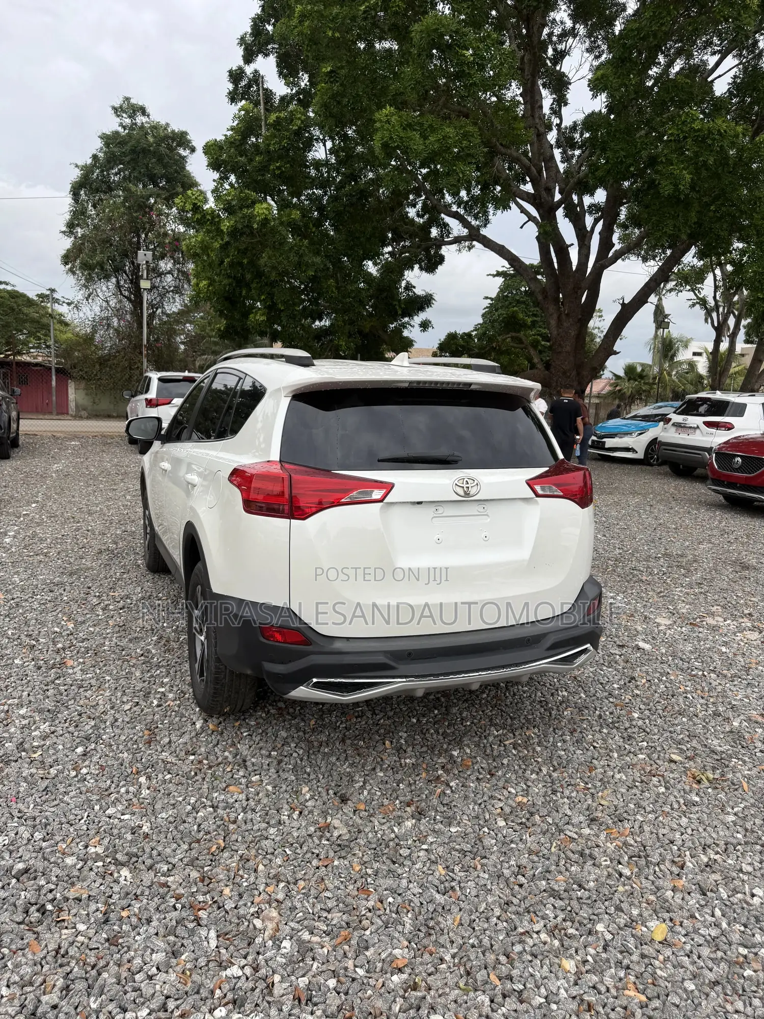 Toyota RAV4 XLE AWD (2.5L 4cyl 6A) 2016 White