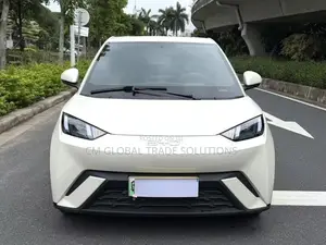 BYD Seagull 2025 White