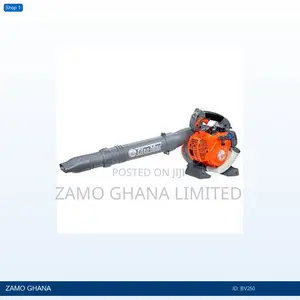 Blower 1.3hp Gasoline 0.45l - Bv250