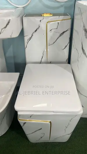 Marble One-Piece Toilet Wc (24cm)