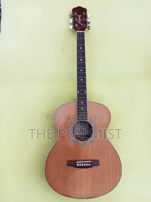 Fenix Fg10 Young Chang Acoustic Guitar