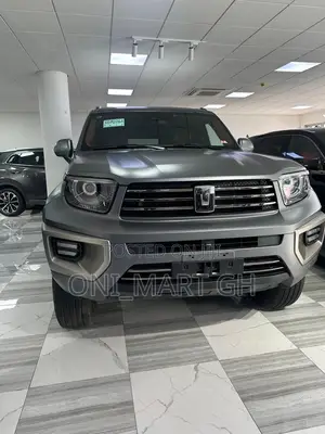 New Car 2025 Gray