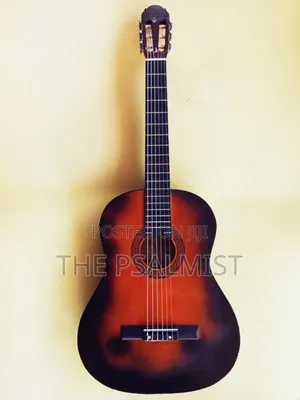 Paloma Pl 20 Classical Guitar