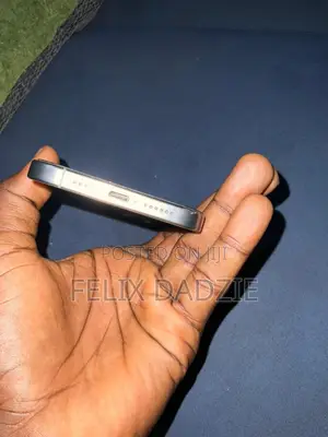 Apple iPhone 15 Pro Max 256 GB Silver