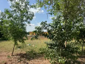 A Titled Plot of Land for Sale at Achimota Neoplan Station