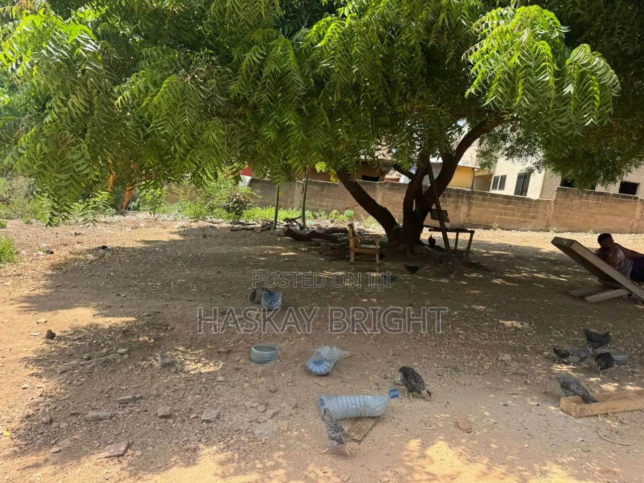 2 Plots of Land for Sale at Achimota Neoplan Station