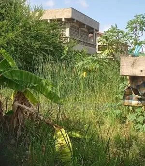 Tema West Adjei Kojo