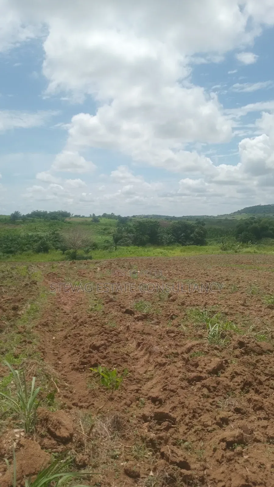 Alpha Investment Properties Estate Land for Sale at Kasoa Akraman