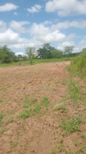 Alpha Investment Properties Estate Land for Sale at Kasoa Akraman