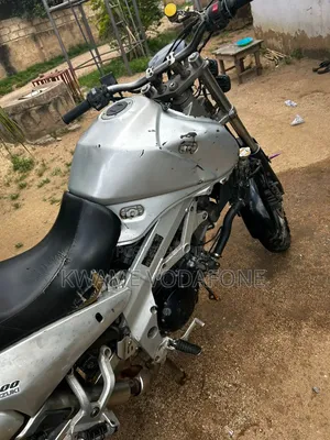 Suzuki V-Strom 2024