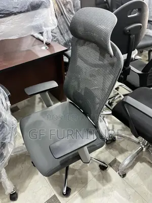 Ergonomic Chair With Lumbar Support and Headrest