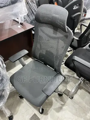 Ergonomic Chair With Lumbar Support and Headrest