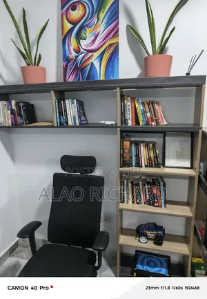 Book Shelve