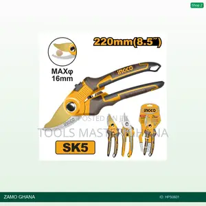 Pruning - Hps0601