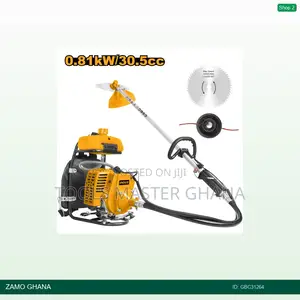 Gasoline Grass Trimmer and Bush Cutter 0.81kw - Gbc31264