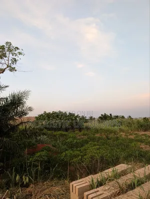 Pakyi Number 2 Full Plot for Sale Obuasi Road Near Justice Hotel