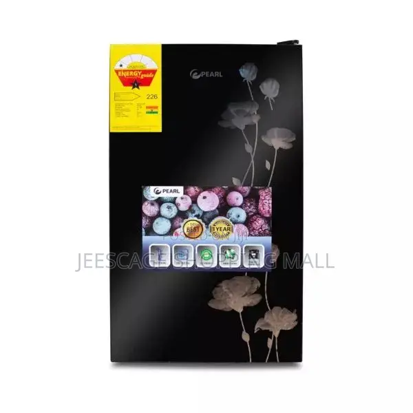 Pearl Fridge With Freezer for Food Storage