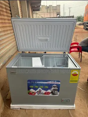 250l Freezer – Large Capacity Fast Freezing
