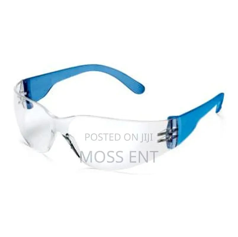 Focus Safety Goggles - Sgs760