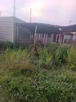 Genuine Land Available for Sale at Odumasi Estate