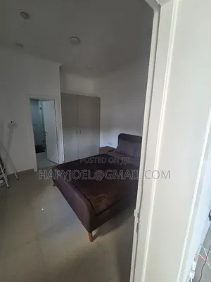 Furnished 1bdrm Apartment in Osu for rent