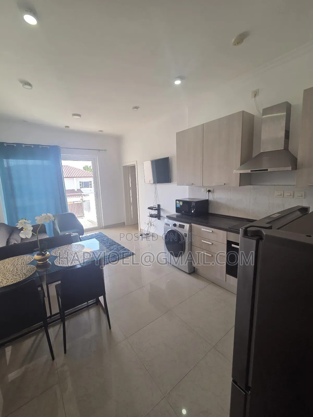 Furnished 1bdrm Apartment in Osu for rent