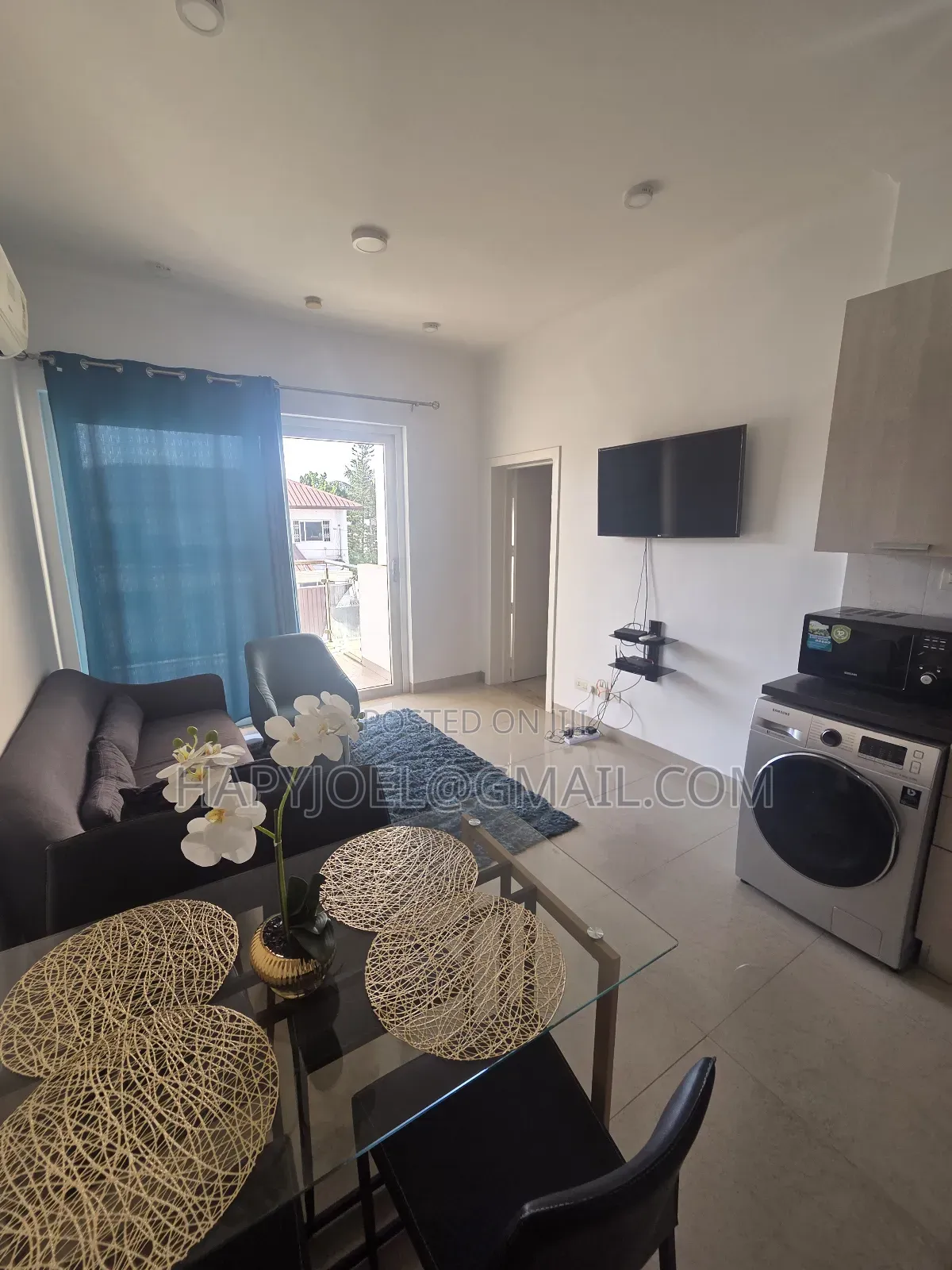 Furnished 1bdrm Apartment in Osu for rent