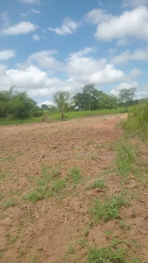 Alpha Land for Sale at Nsawam Ayibontey