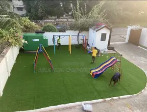 Green Grass for School Compound