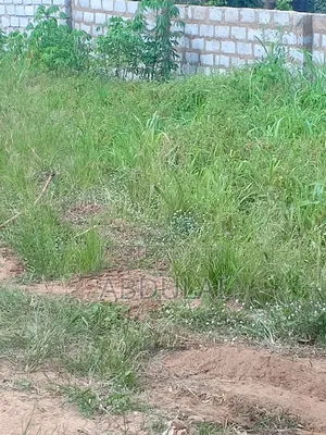 Plot for Sale