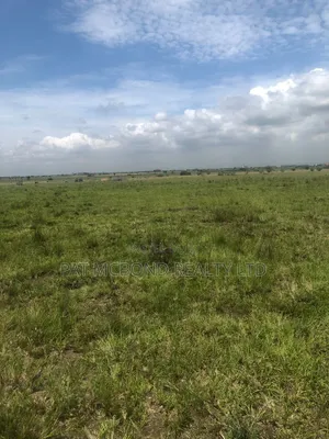 Prampram Neatly Sectioned Residential Land