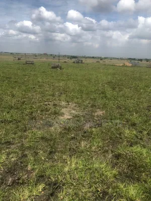Prampram Neatly Sectioned Residential Land