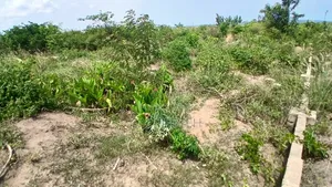 2 Plots of Land at Ojobi for Sale