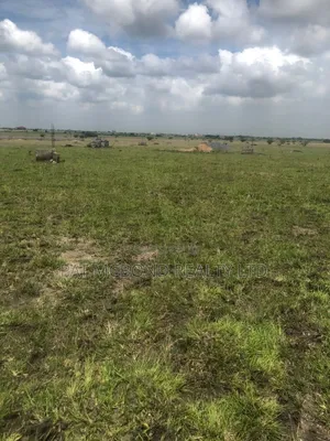 Prampram Growth Area Land With Clear Records