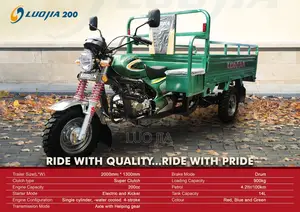 New Luojia Cargo Tricycle 2020 Blue