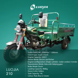 New Luojia Cargo Tricycle 2020 Blue