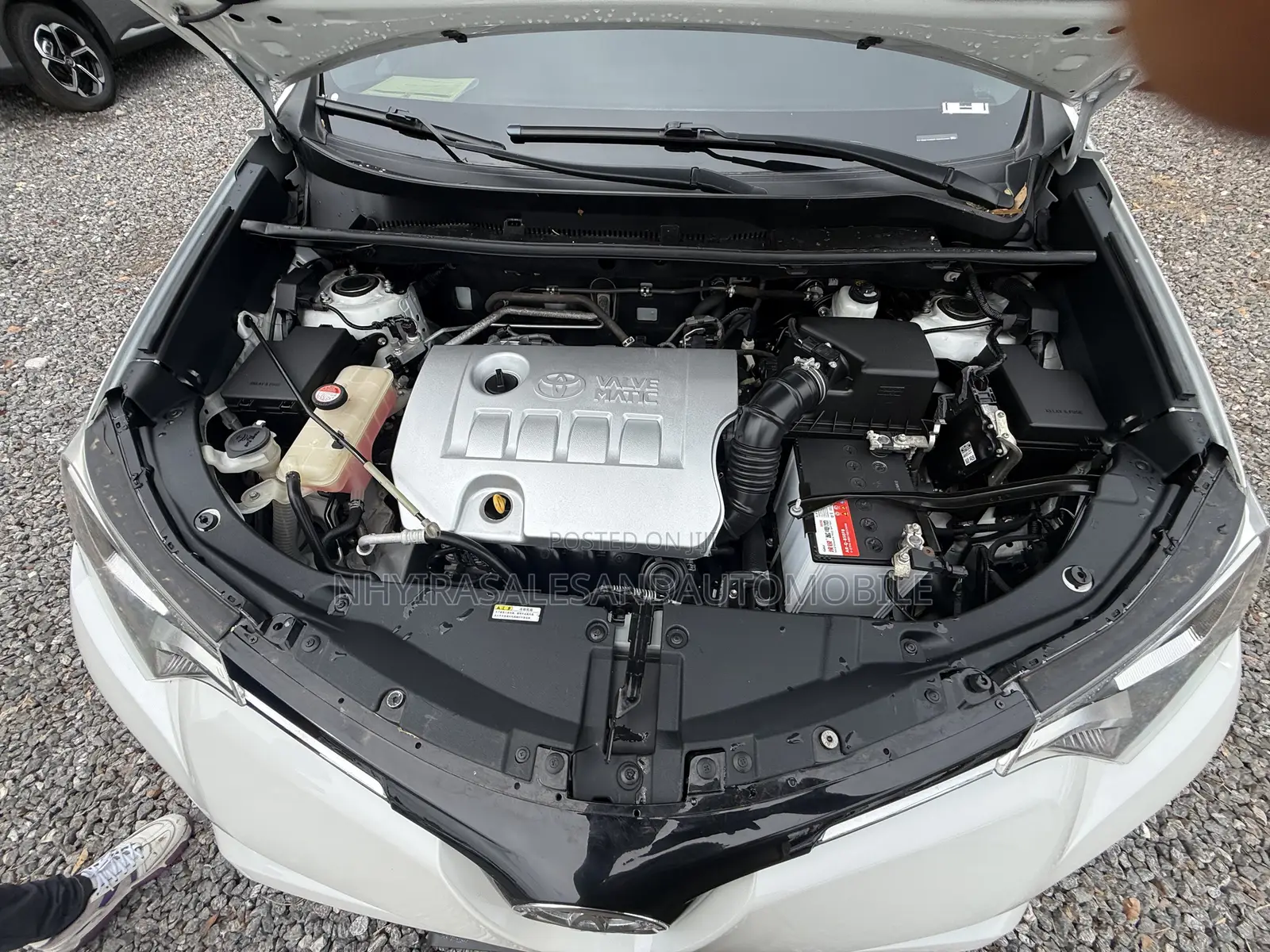 Toyota RAV4 Limited AWD 2019 White