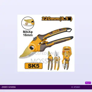 Pruning - Hps0601