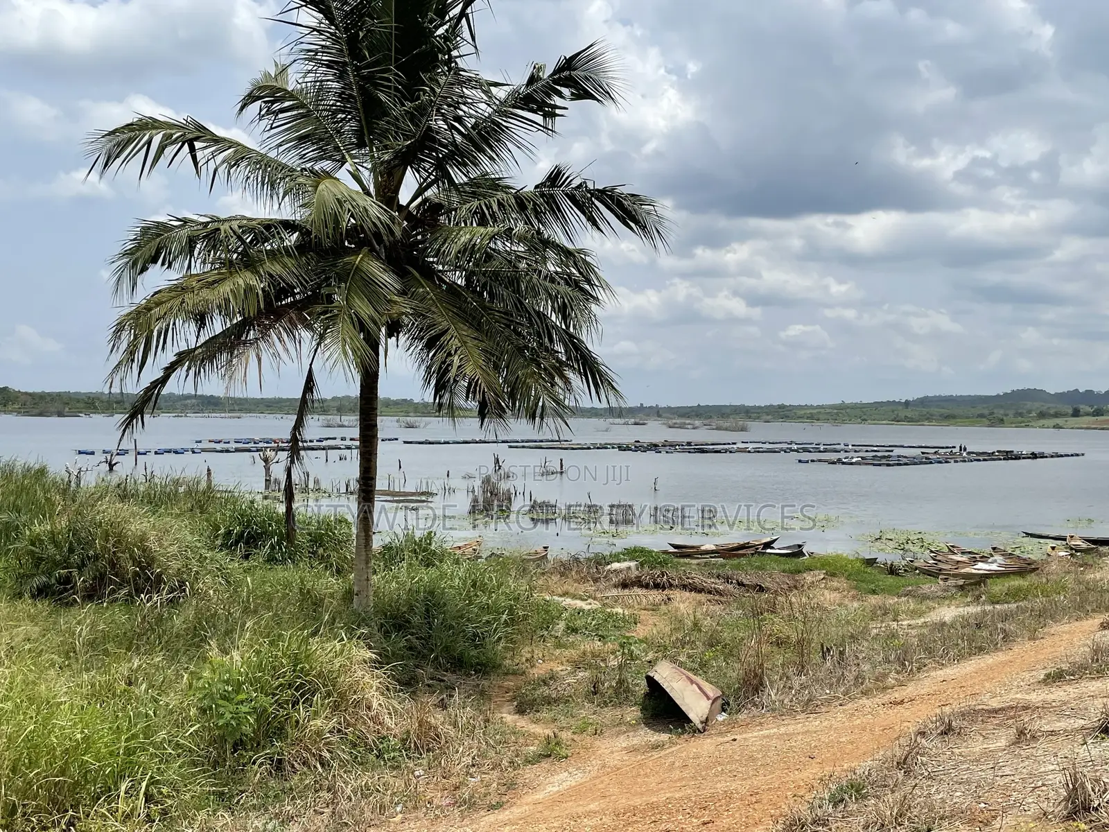 Farmlands For Sale At Winneba Simibrofo