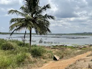 Farmlands For Sale At Winneba Simibrofo