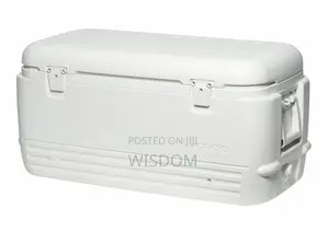 Wiz Ice Chest Rental Service