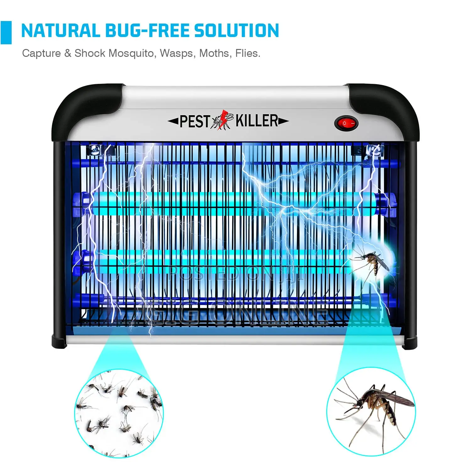 Professional Strength Pest Killer