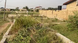 Emmanuel Lands
