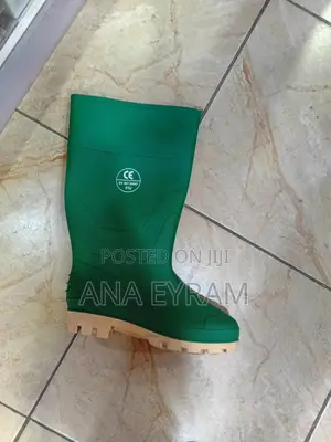 Normal Wellington Boot