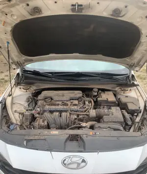 Cleaning Service