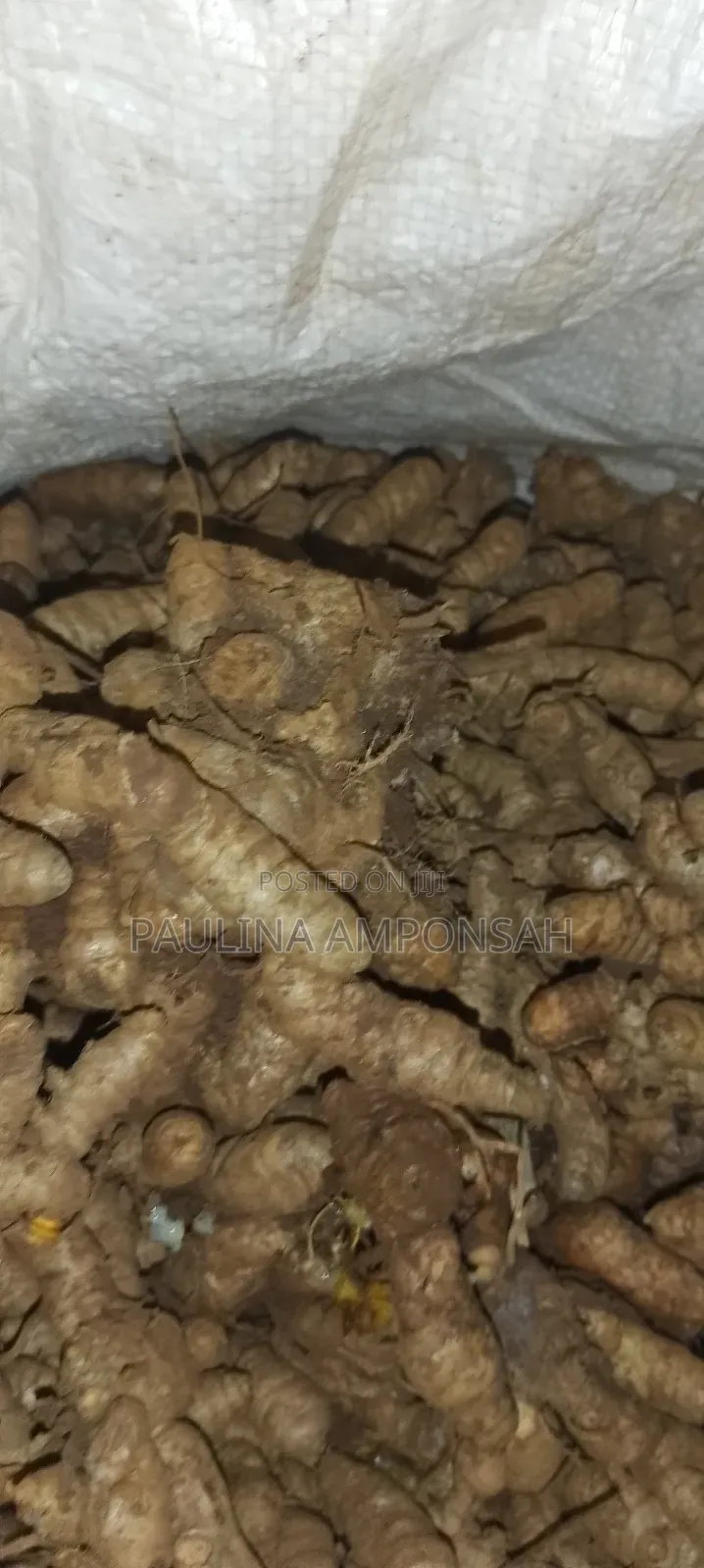 Tumeric for Sale in Large Quantities